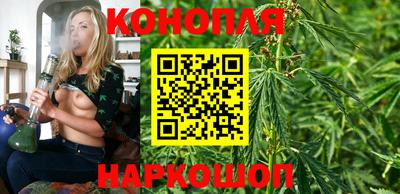 PSILOCYBIN Бийск