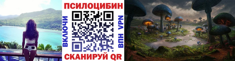 Галлюциногенные грибы Cubensis  где купить наркотик  Гурьевск 