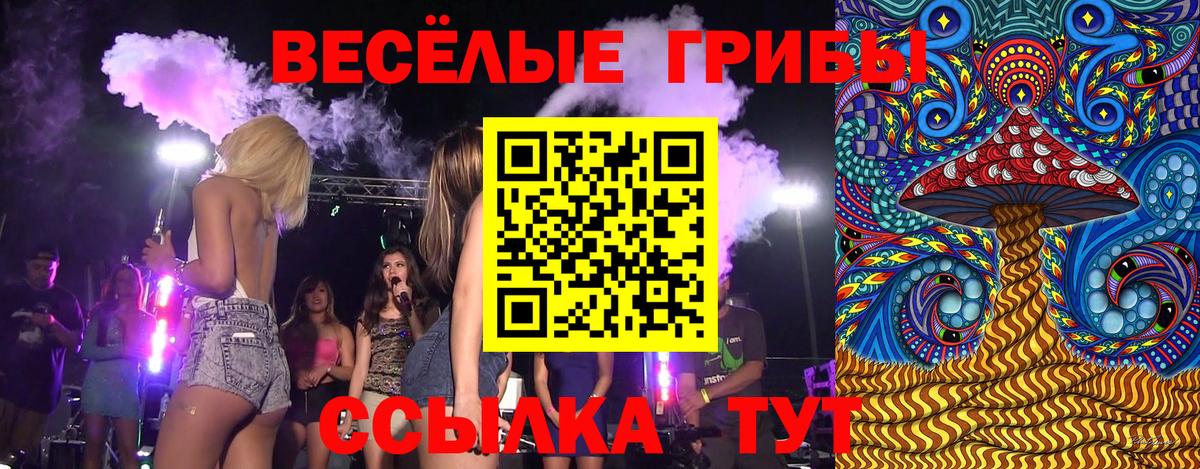 что такое наркотик  Псилоцибиновые грибы Magic Shrooms  Вход с VPN  Гурьевск 